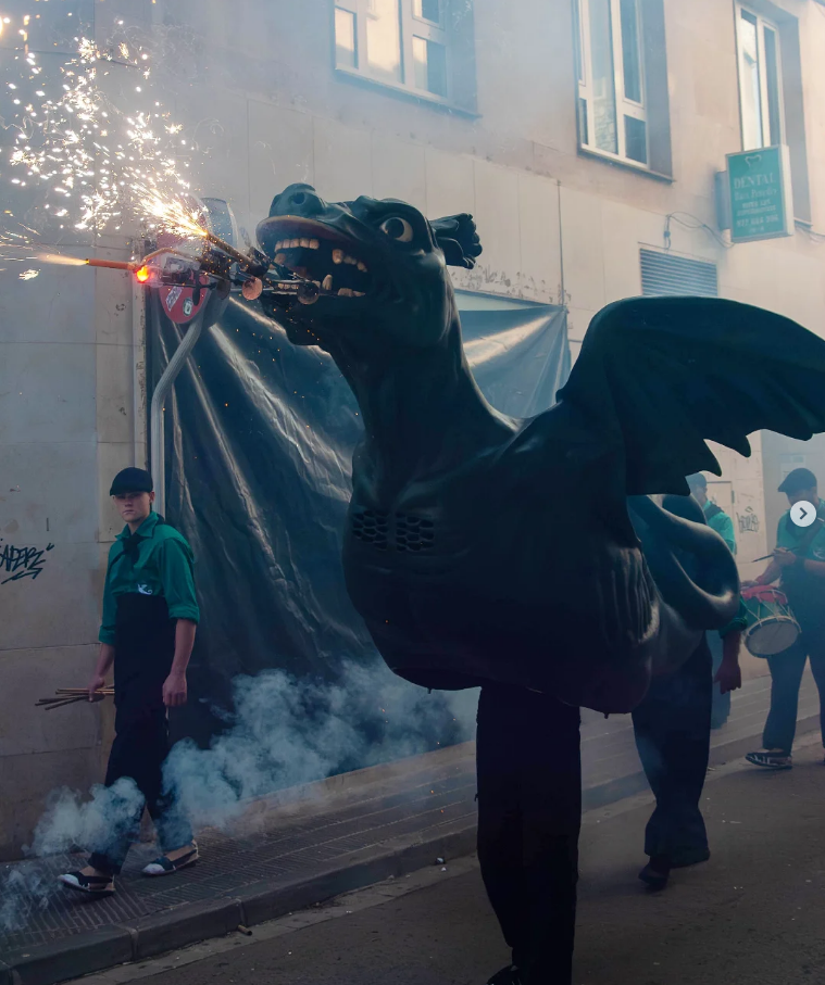 Captura de la web dracdelvendrell.cat